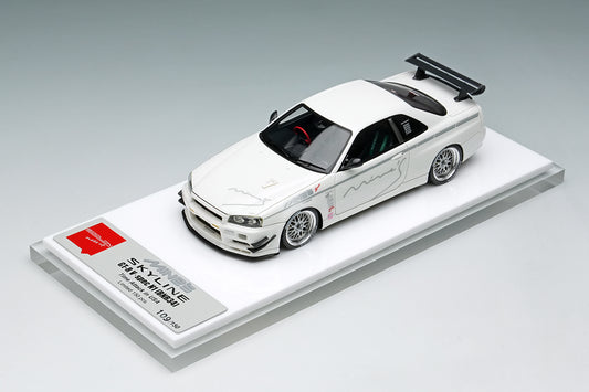 Limited Edition 1/43 MINE'S R34 Demo Car Willow Springs Time Attack Edition